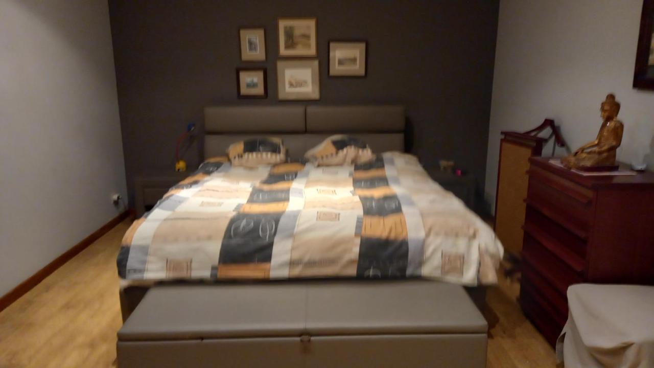 Luxe Appartement Met 3 Slaapkamers En 1 Kingsize Bed Slaapzetel En Drie Dubbelbedden Dendermonde Exterior foto